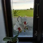 Idyllisk Gård Med Ro, Plads Og Havudsigt * Hesselager