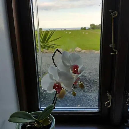 Idyllisk Gård Med Ro, Plads Og Havudsigt * Hesselager
